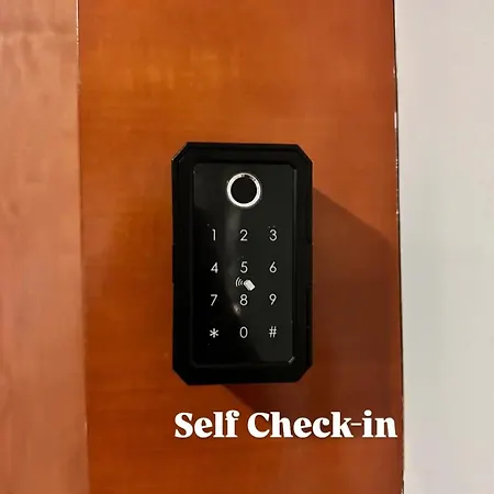En Magnifico 1 埃斯特波纳